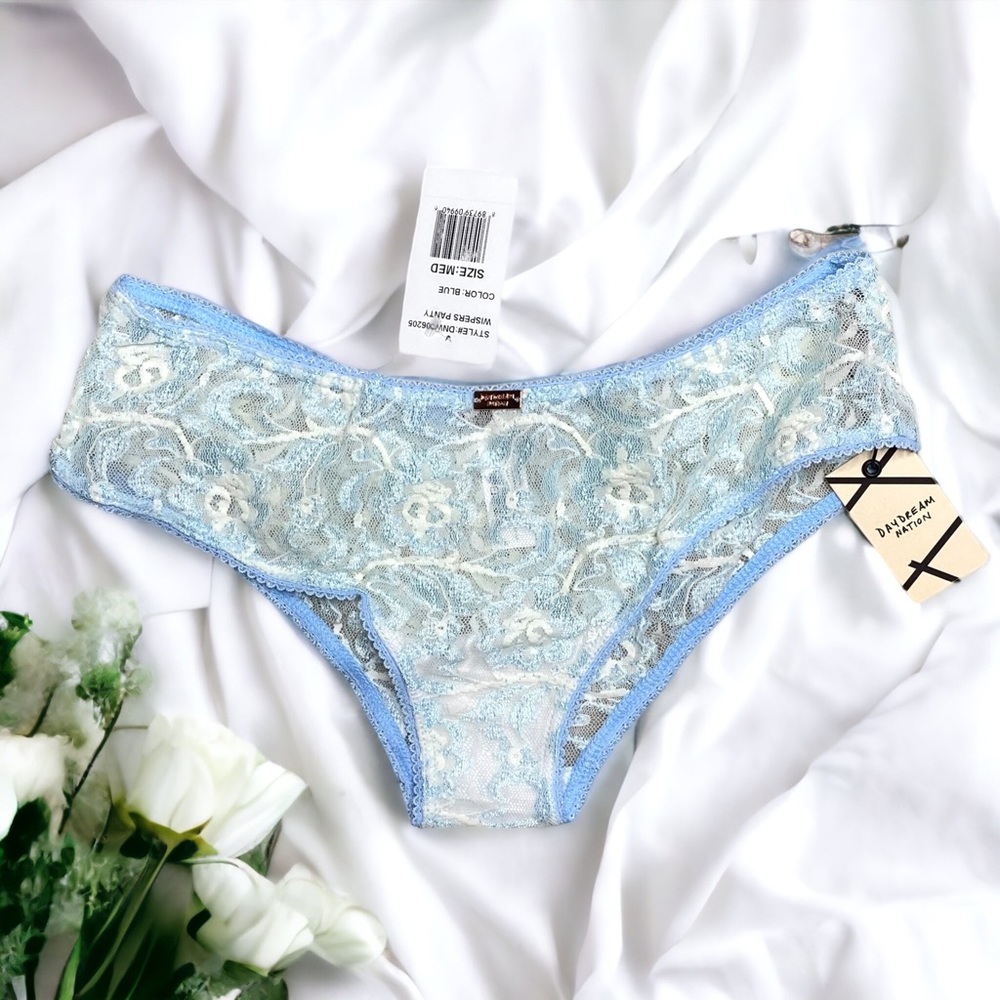 Daydream Nation/Dolls Kill Wispers Panty Mesh Lace Blue M